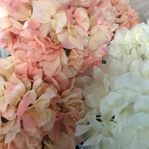 Meet your Posher, Judy